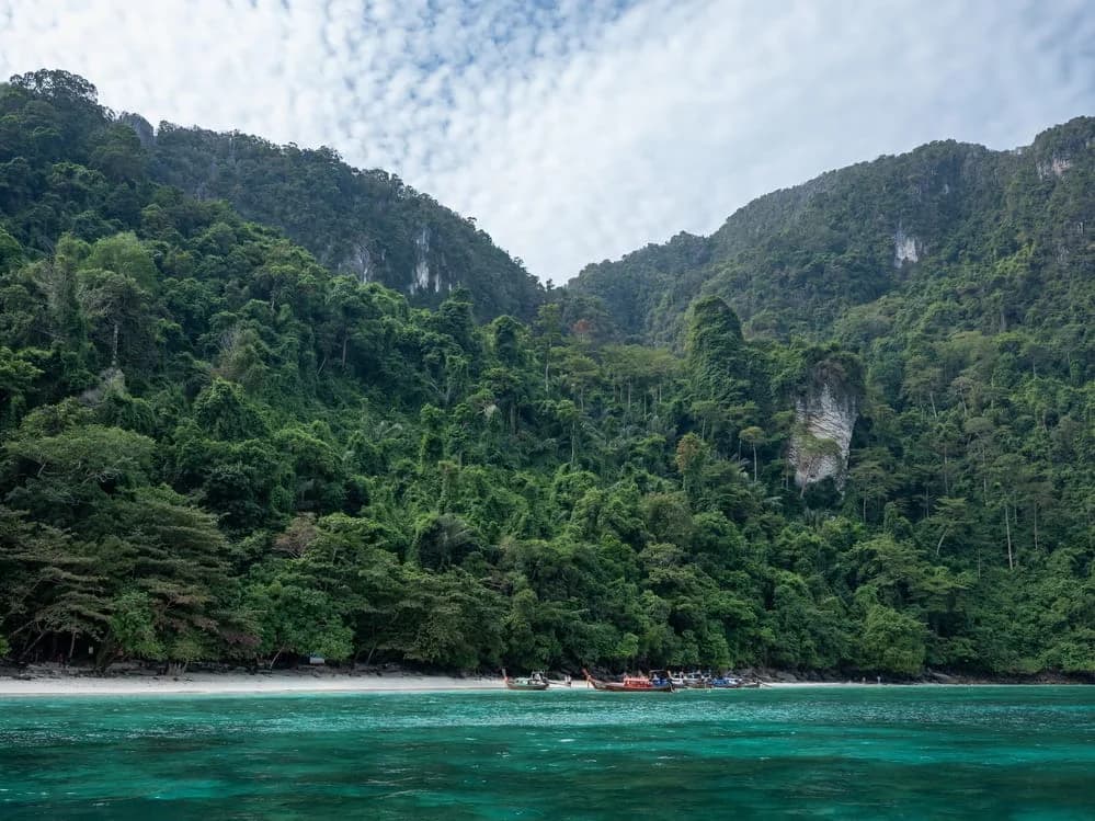 Phuket High Season Guide: What Changes at Boat Lagoon Marina From November to April