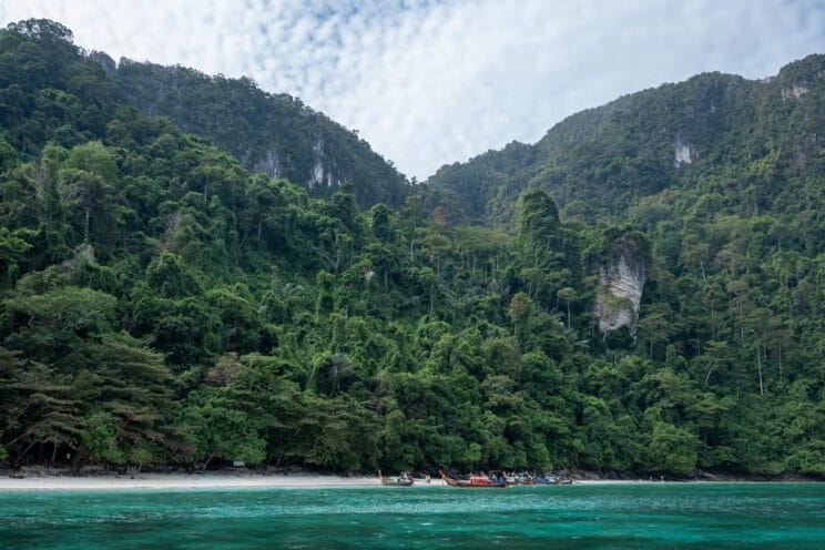 Phuket High Season Guide: What Changes at Boat Lagoon Marina From November to April