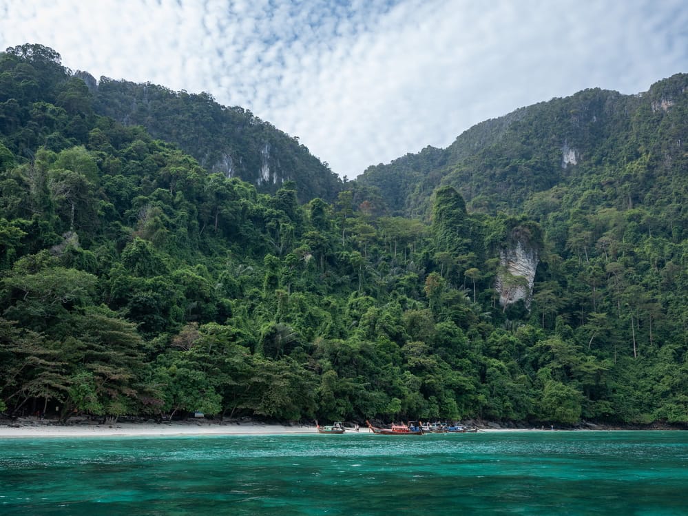 Phuket High Season Guide: What Changes at Boat Lagoon Marina From November to April